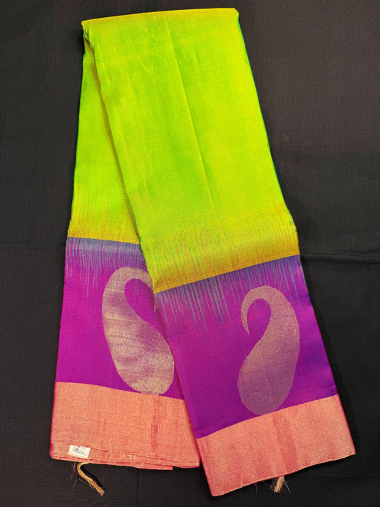 Parrot Green Pure Kanjivaram Pattu With Big Purple Border With Big Mangos on the Border